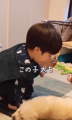 エルくんと男の子
