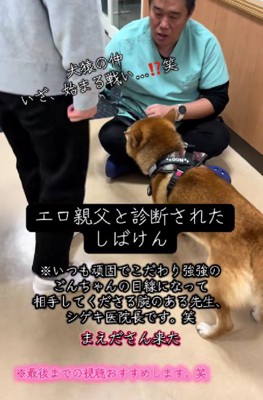 動物病院を訪れたごんちゃん