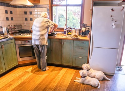 ごはん待ちのシニア犬