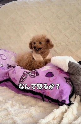 つぶやくパパ