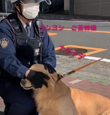 「見回りごくろうさま」