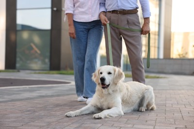 老夫婦と犬