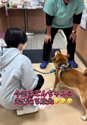 白熱する小競り合い