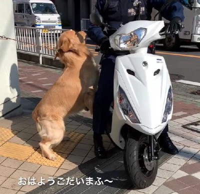 警察官と遭遇！！