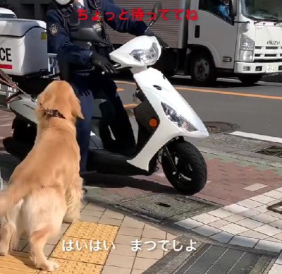 「ちょっと待ってね」