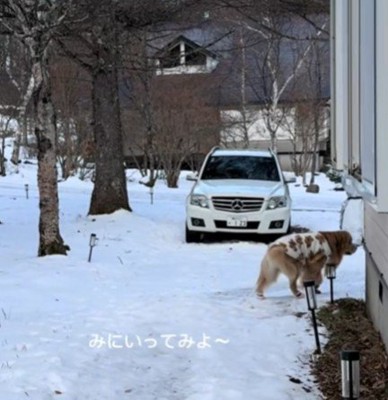 見に行ってみよう