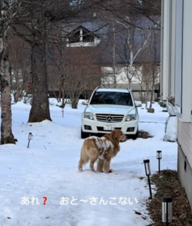 パパがいない…