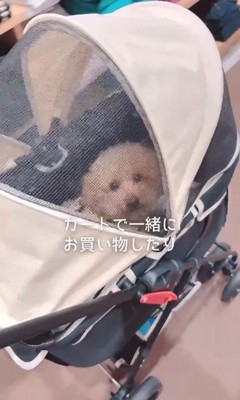 すいーぶ君の変化7