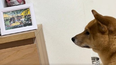 悲しい横顔に胸が痛む