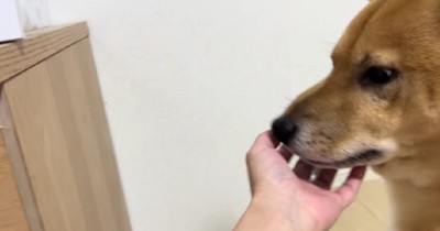 思い出は心に残り続ける