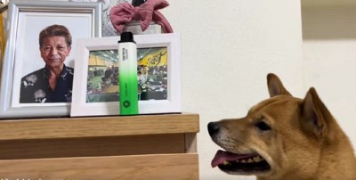 おじいちゃんが他界