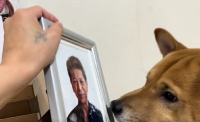 「これはおじいちゃんの顔…」