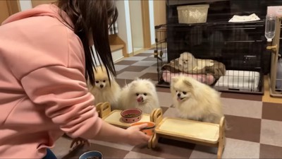 「早く食べたい！！」