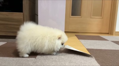 これからも幸せにね