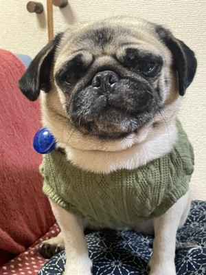 現在