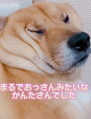 おじさんみたい！？