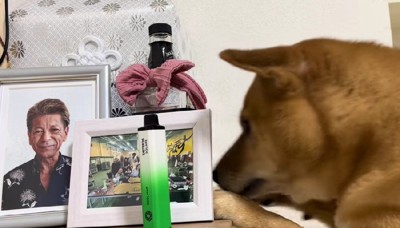 「お酒が好きだったね」