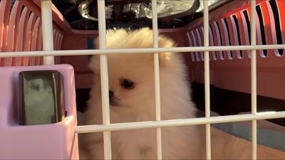 車内では緊張…