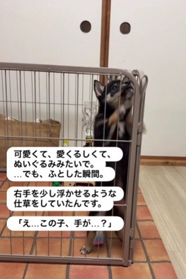 前足がおかしい?