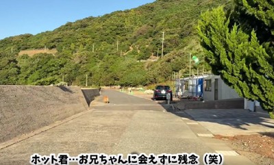 会えないときは寂しくなる