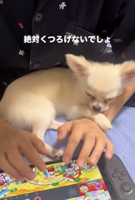ぺろぺろ