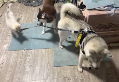 のんびり屋