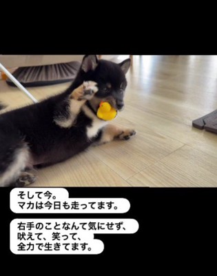 スクスク成長中!!
