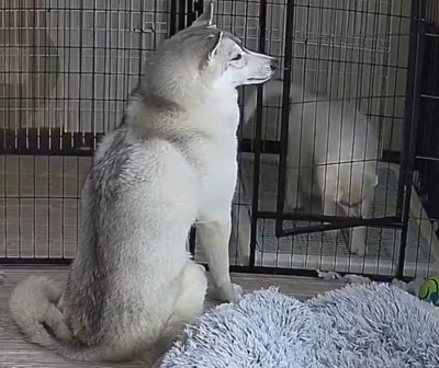 ドアが開く