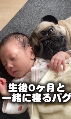 あぽ君とのえる君と赤ちゃん