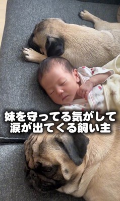 あぽ君とのえる君と赤ちゃん4