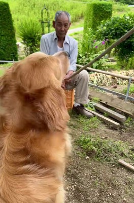 おじいちゃんがイタズラ