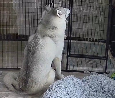 鍵を開ける