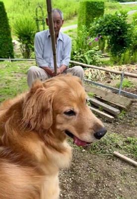 ちょっと危ない…?