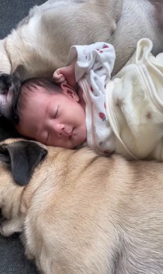 あぽ君とのえる君と赤ちゃん2