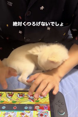 寛いでる？