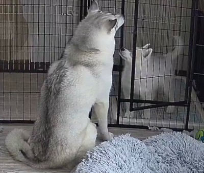 脱出の瞬間