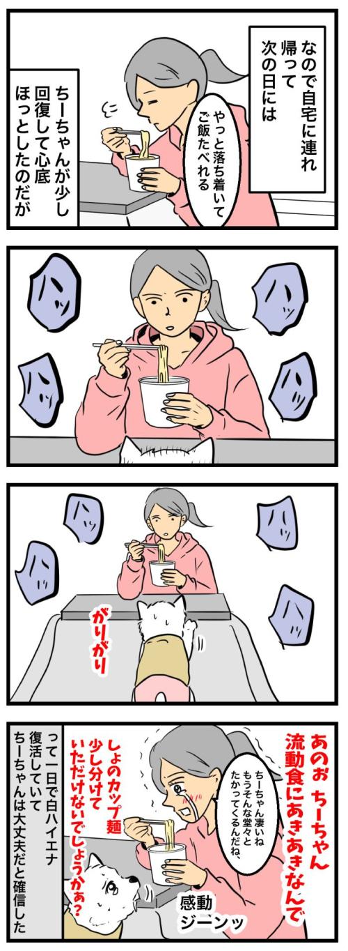 ちーちゃんですけどもっ【第347話】　2