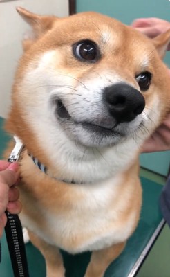 治療が終わったれお君