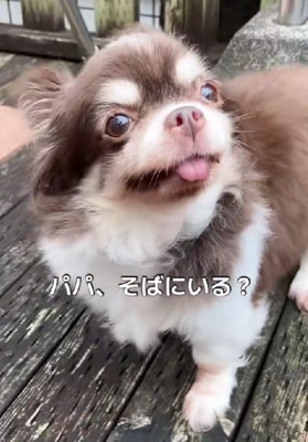 幸せな笑顔に感動…