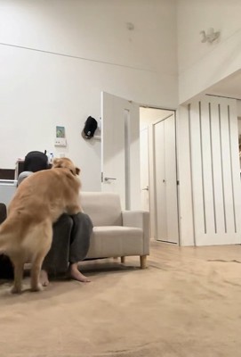 ハナコちゃんとお姉ちゃんの再会⑩
