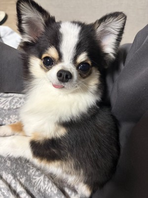 なんか…