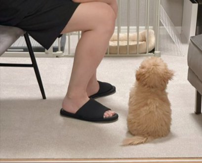 パパの独り言