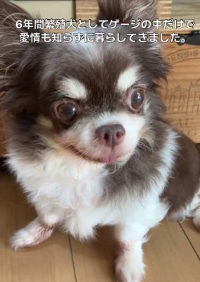 老夫婦との暮らしが始まった