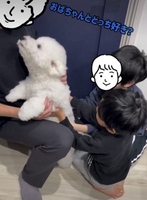 撫でられる犬2