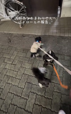 扉の前でそわそわする犬たち