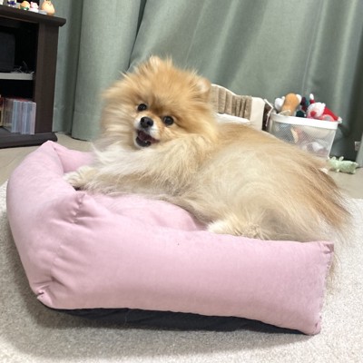 表情