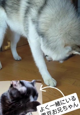 この習慣は欠かせません