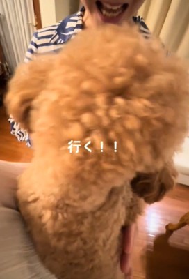 犬の後ろ姿