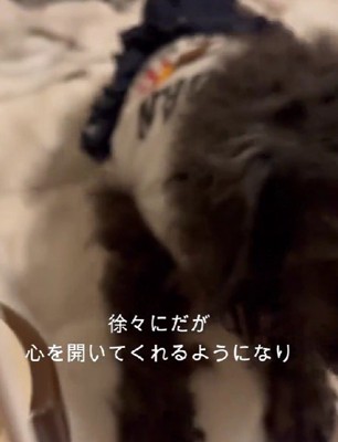 嬉しそうに駆け寄ってきてくれる