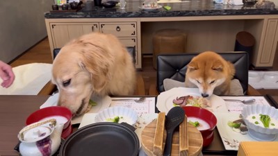 豪華なディナーに舌鼓♡